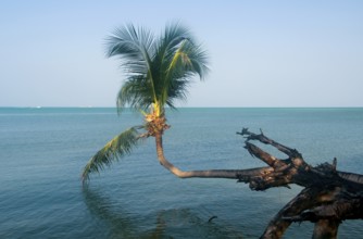 Ko Phangan is 15 kilometers (9.5 miles) north of its more famous neighbour Ko Samui, and, at 168 sq