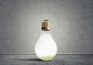 Glass light bulb in concrete empty room. Eco concept