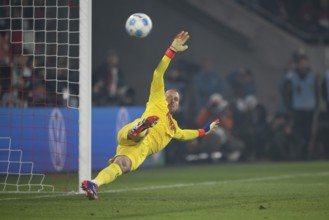 BEAUTIFUL SPORTS/ (DFL/DFB REGULATIONS PROHIBIT ANY USE OF PHOTOGRAPHS AS IMAGE SEQUENCES AND/OR