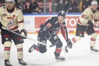Laura Dick Cologne, LanxessArena, North Rhine-Westphalia, Juhani Tyrvaeinen (Cologne Sharks, #21),