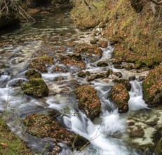 A stream flowing through the beautiful Mostnica Gorge in the Triglav National Park, located in the