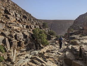 Hiking through the stone desert near Amtoudi in the Anti-Atlas, Morocco
