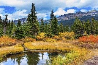 The Rockies of Canada. Small picturesque puddle reflects the cloudy sky. Red, yellow and orange