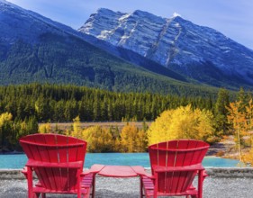 Artificial Abraham lake reflects the golden foliage of aspen and birches. Rocky Mountains of