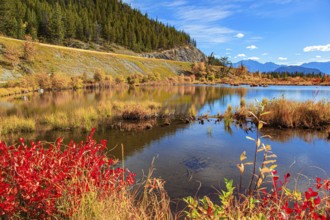 Beautiful fall day in the Rocky Mountains of Canada. Magnificent golden autumn. Mountains and lakes