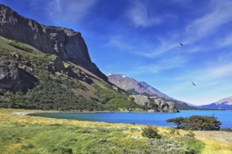 Mountain lake with blue water. Above the lake Andean condors flying in circles