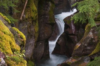 Long exposure of the Avalanche Creek in the Glacier National Park in Montana Usa