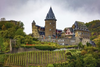 Rhine Castles: Journey into the German Middle Ages. Romantic castles on the banks of the Rhine.
