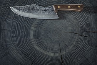 Big Meat Knife On Bog Oak Texture