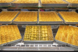 Traditional Dessert Baklava in Trays Turkish Cuisine, Serbia