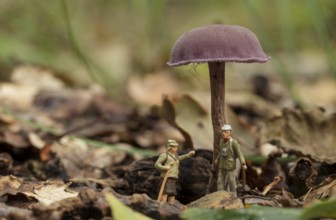 The forest rangers are talking under a mushroom in the forest, little figures from little world