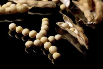 Soybeans forming Yuan symbol. Soybean market. Agriculture Soybean pods