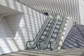 Liège-Guillemins train station by architect Santiago Calatrava, Liege, Belgium
