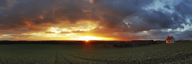 Panorama, sunset in the Ried