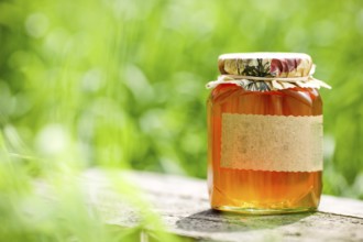 Honey jar on table against nature background