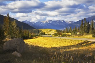 Charming glade with a yellow autumn grass and road beside in national park Jasper in Canada