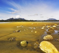 Stones on beach Pacific ocean in the West of Canada