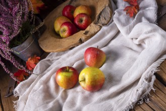 Malus sylvestris, the delicious European crab apple