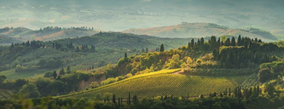 Fields in Tuscany