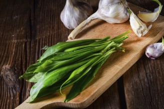 Fresh and tasty wild garlic