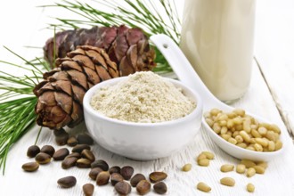 Cedar flour in a bowl, nuts and cones, a spoon with peeled nuts, green pine branch and cedar milk