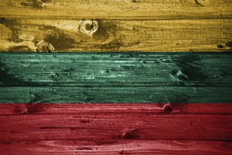 Lithuania flag on wooden planks background wood flag
