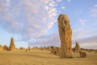 An image of the Pinnacles Desert at Nambung National Park Australia