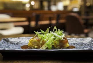 Chicken raviolis with tomato sauce placed on a design dish