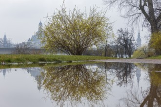 The towers of Dresden's old town are reflected in a puddle on the Königsufer when it rains,