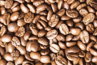 Close up view of roasted coffee beans