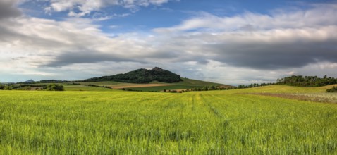 Summer landscape in Central Bohemian Uplands, Czech Republic. Panorama image