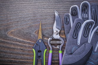 Working safety gloves garden shears secateurs on wooden board