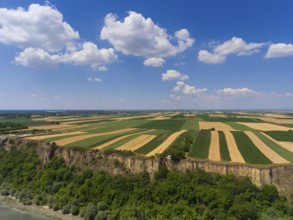 Aerial view of colorful fields on high bank of Danube river in Serbia