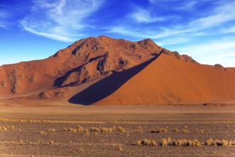 Orange, red and yellow dunes of the Namib desert. The concept of extreme and exotic tourism.