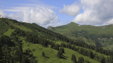 Green mountain meadows and forest in Gsteig near Gstaad. Arnehore