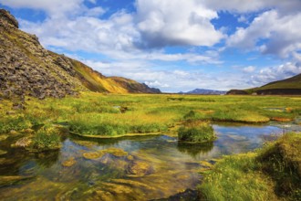 The picturesque valley in Landmannalaugar national park. Summer in Iceland. Green grass among hot