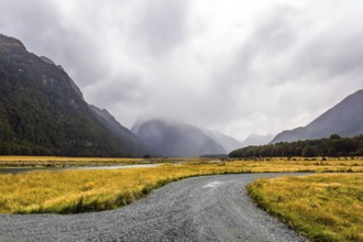 Dirt road to sea fjord Milford Sound. South Island of New Zealand. Fields with yellow autumn grass
