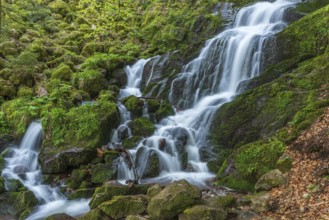 Fresh and beautiful waterfalls in a mountain torrent in spring. La Serva, Champ du feu, Vosges,
