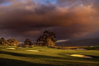 Pebble Beach golf course, Monterey, California, usa