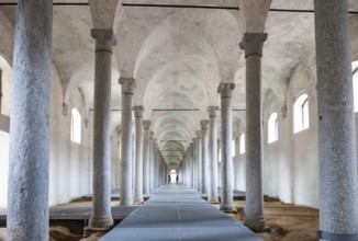 Renovation of ducal stables. Vigevano, Lombardia. Italy