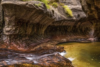 Magnificent Subway gorge landmark in the Zion National Park in Utah, USA
