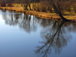 River bank