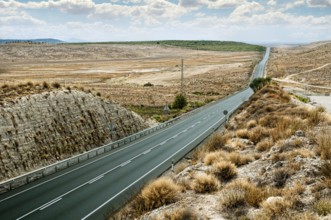 Asphalt road and white line marking. Close up low viewpoint