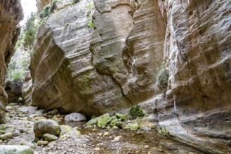 Avagas Gorge in the western part of Cyprus