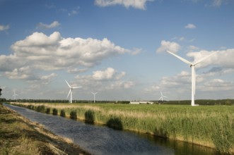 Windmills in agriculture landscape