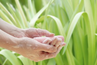 Antibacterial soap in the hands. Hand disinfection with soap. Cleanliness and hygiene in everyday
