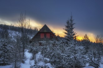 Wooden cottage with red shutters in winter at sunrise in Slovakia