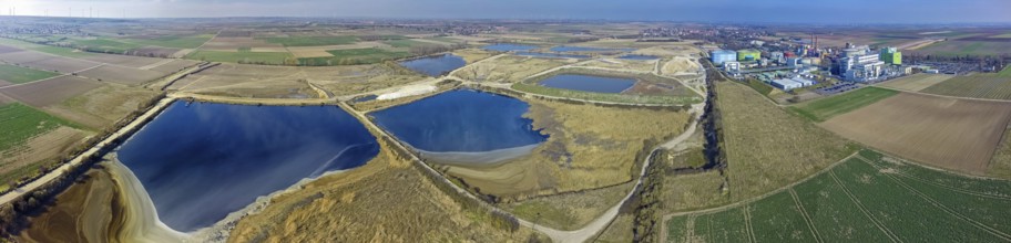 Offstein sewage ponds, ponds of a sugar factory in Rhineland-Palatinate, bird sanctuary, Offstein