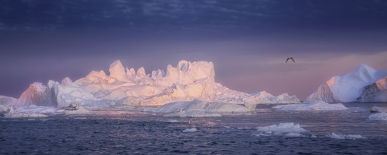 Floating glaciers in the rays of the setting sun at polar night