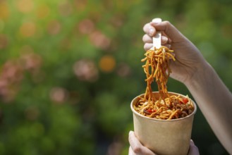 Chinese takeaway food. Wok with noodles, vegetables and meat
